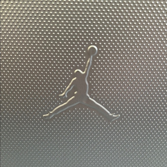 Air Jordan Metallic Silver Carrying Case - Picture 3 of 6
